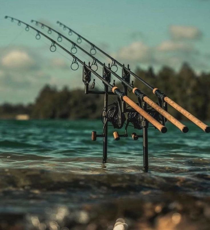 Hengelsport in gorinchem