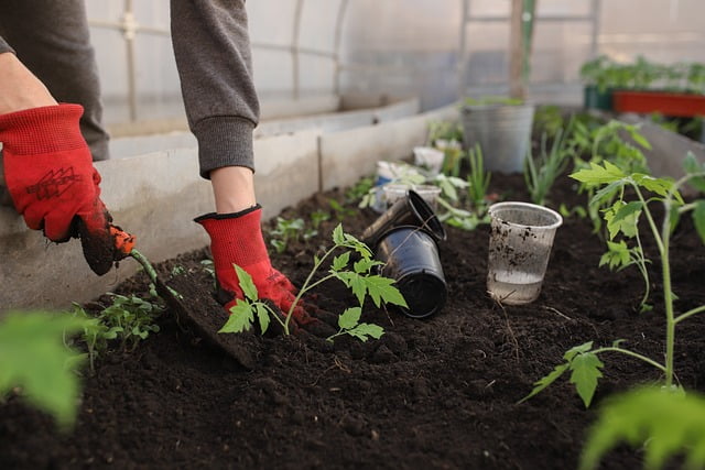 Tuinman in gorinchem