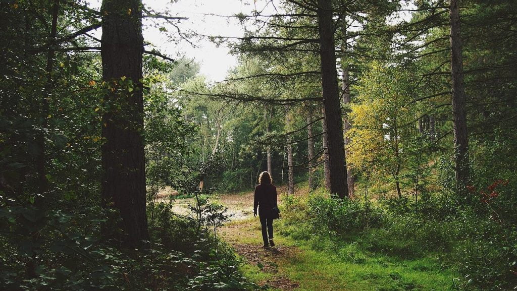 Wandelroutes in Gorinchem